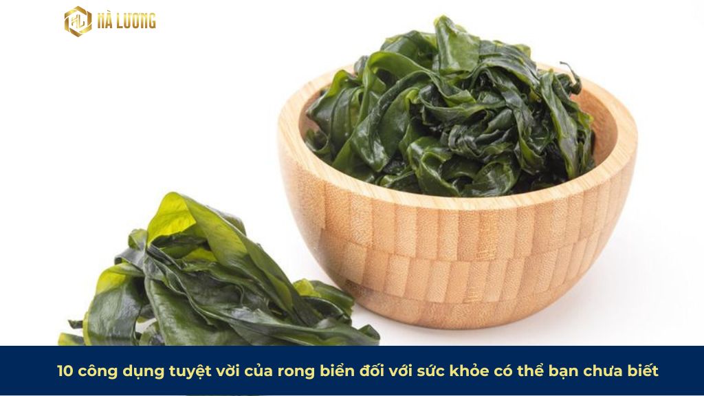 Rong biển có tác dụng gì? Khám phá 10 công dụng tuyệt vời của rong biển ...