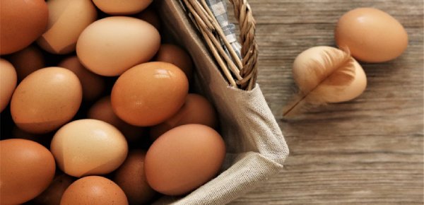 Cách chọn mua trứng gà tươi ngon