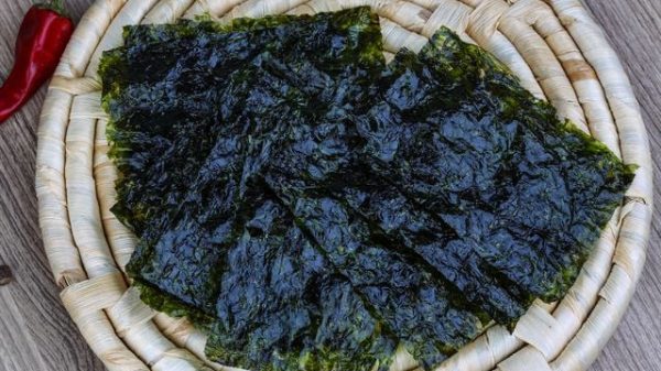Rong biển tươi là gì?